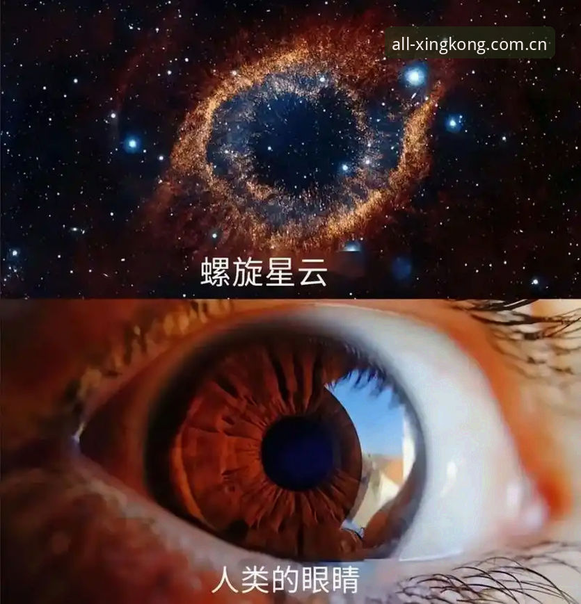 揭秘星空综合体育：45MB安装包背后的技术真相与赛事体验深度测评